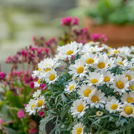 *holiday Home* W/patio & Fireplace + Lake View Lägenhet