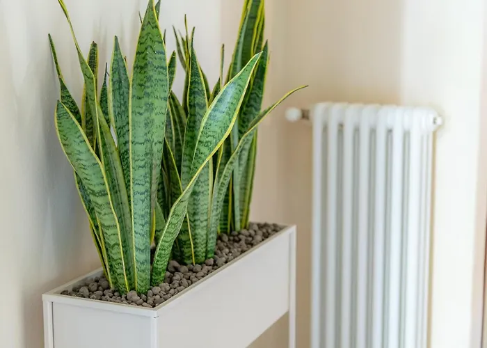 Apartment *holiday Home* W/patio & Fireplace + Lake View Pognana Lario