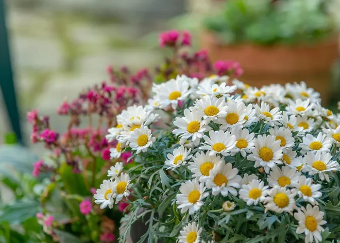 *holiday Home* W/patio & Fireplace + Lake View Apartment