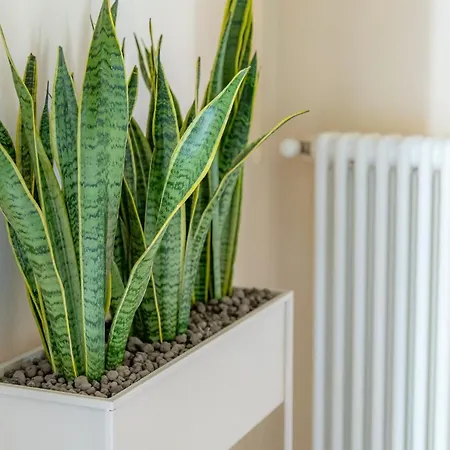 Apartamento *holiday Home* W/patio & Fireplace + Lake View Pognana Lario